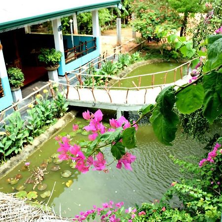 Hungry Lion Resort Sigiriya Exterior foto