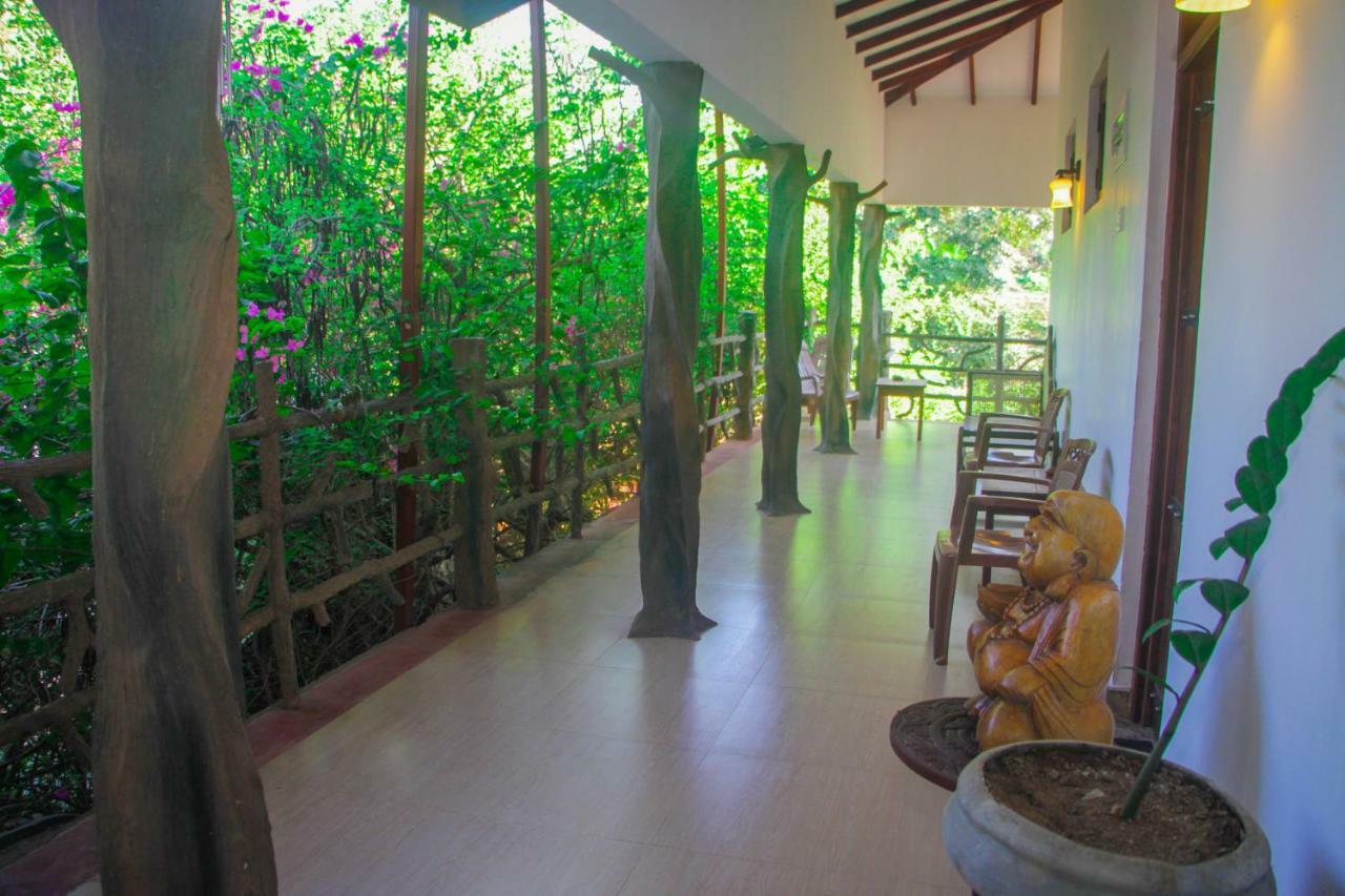 Hungry Lion Resort Sigiriya Exterior foto